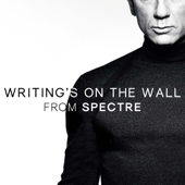 Writing's On the Wall (From "Spectre") [Cover Version]
