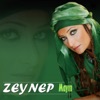 Mayın - Single, 2008