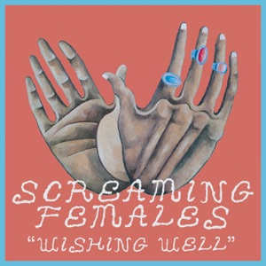 Wishing Well - Single