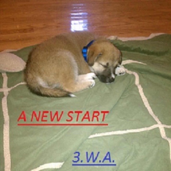 A New Start