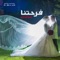 Farhtna (feat. Amany) - Ahmed Hashad lyrics