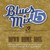 Juke Joint Slide (remix)