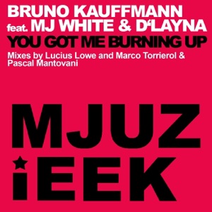 You Got Me Burning Up (feat. MJ White & D'Layna) - Single