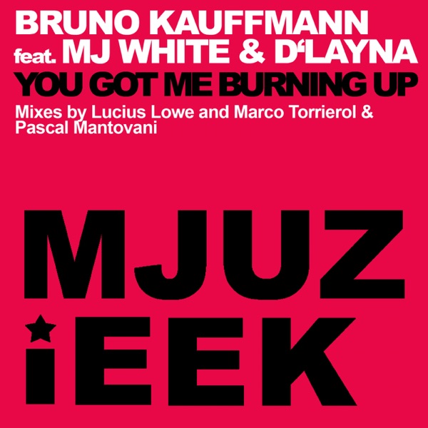 You Got Me Burning Up (feat. MJ White & D'Layna) - Single