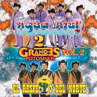 2 Grandes Potosinos, Vol. 2 - Conjunto Agua Azul & El Respeto Del Norte