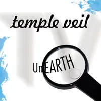 All I Need Is You — Temple Veil
