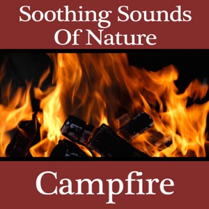 Soothing Sounds of Nature: Campfire