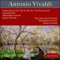Concerto for Two Violins, Strings and Basso Continuo in D Minor, RV 514: III. Allegro molto artwork