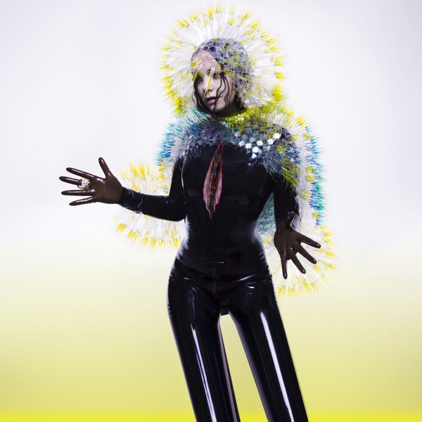 Vulnicura - Björk