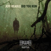 Did You Run
