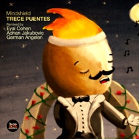 Trece Puentes - Mindshield