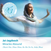 Miracles Abound: Meditations for Transformation - Jai-Jagdeesh