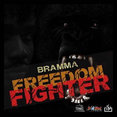 Freedom Fighter - Single