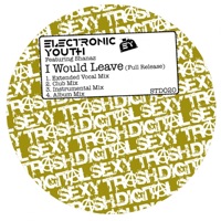 I Would Leave (feat. Shanaz) - EP - Electronic Youth