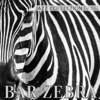 Bar Zebra: Jazz Collection, Vol. 16