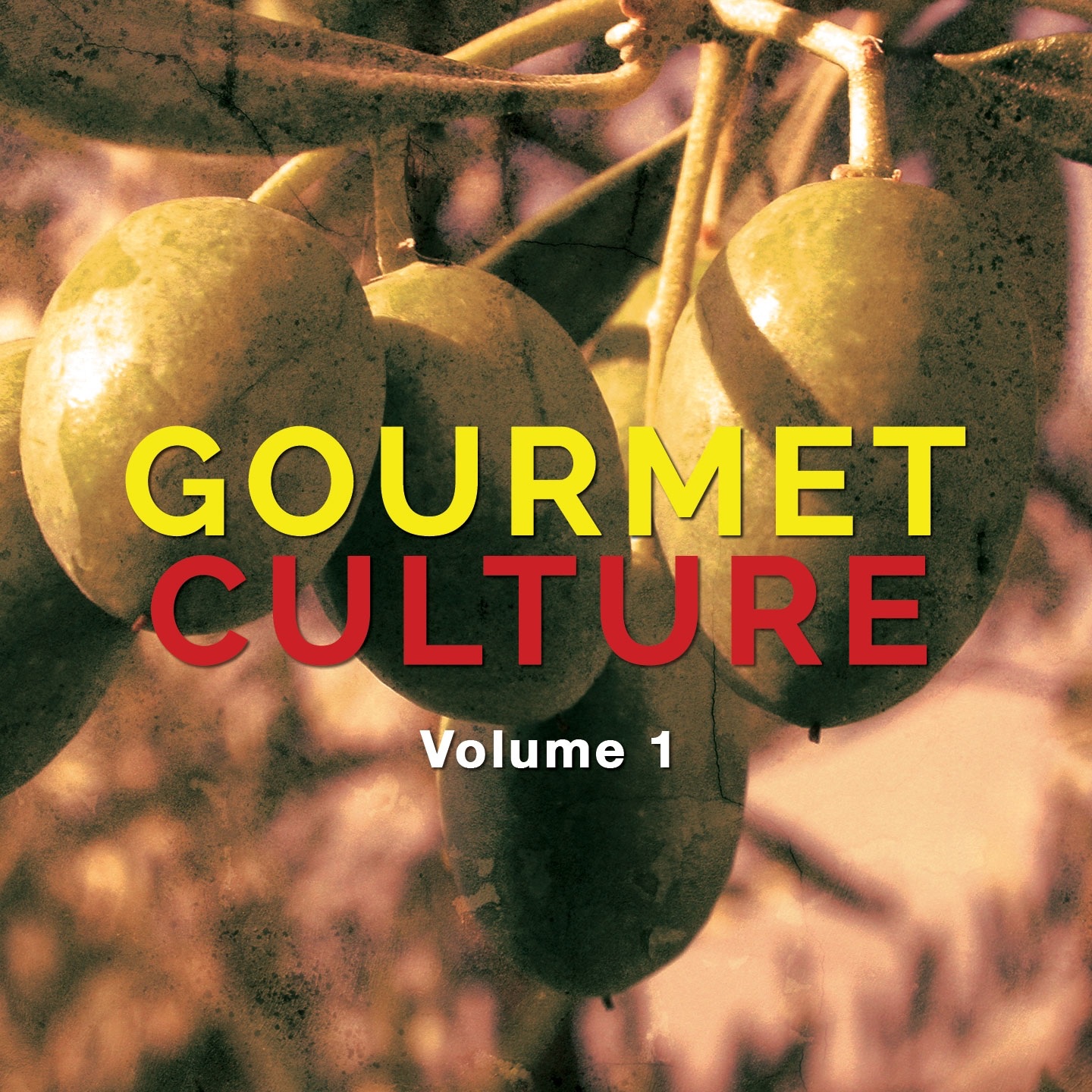 Gourmet Culture, Vol. 1 (High Class Relaxing Tunes)