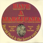 David Peel & The Lower East Side - I Like Marijuana (Live)