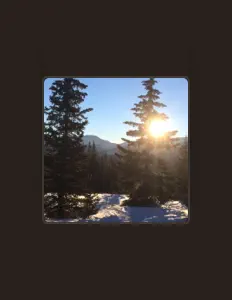 收听 Bear Hive、观看音乐视频、阅读小传、查看巡演日期等 ！