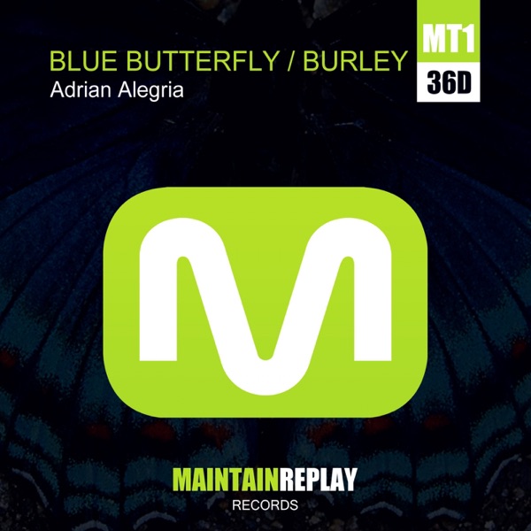 Blue Butterfly - Burley - Single