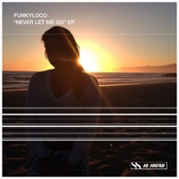 Never Let Me Go - Single - Funkyloco
