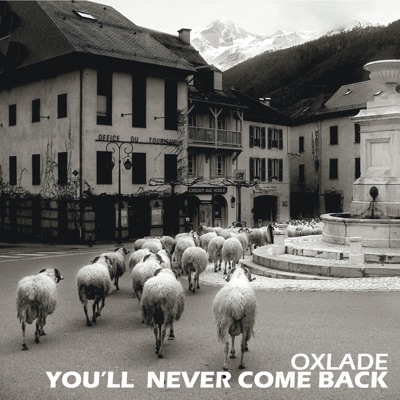 You'll Never Come Back - Single