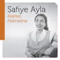 Mani Oluyor Halimi Takrire Hicabım