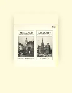 Hör dir Saulesco-Kvartetten an, schau dir Musikvideos an, lies die Biografie, finde Tourdaten und mehr!