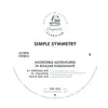 Simple Symmetry - Incredible Adventures In Khazar Khaganate (The Stallions 'Black Sea' Mix)