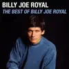 Billy Joe Royal - Cherry Hill Park