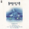 Konser Tur 2001 - Single