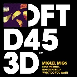 What Do You Want - EP - Miguel Migs What Do You Want - EP - Miguel Migs