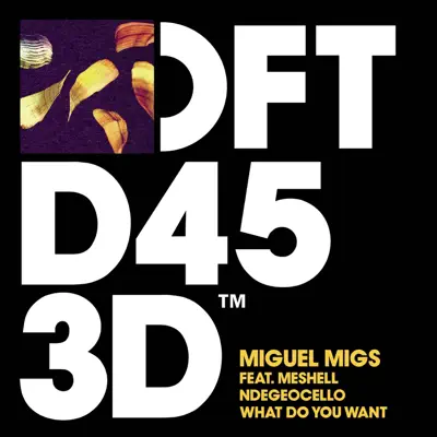 What Do You Want - EP - Miguel Migs