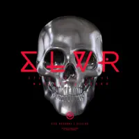 Do Anything — SLVR