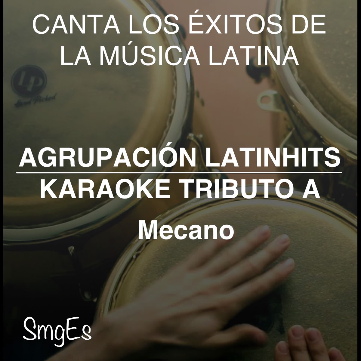 Instrumental Karaoke Series: Mecano (Karaoke Version) de Agrupacion  LatinHits en Apple Music