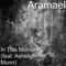In This Moment (feat. Ashleigh Munn) - Aramael lyrics