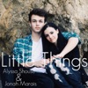 Little Things - Single