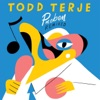 Todd Terje