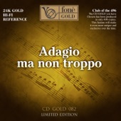 Violin Concerto in A Major, D. 69: IV. Largo andante artwork