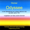 Odyssee - Homer