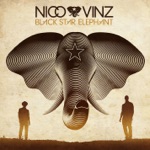 Am I Wrong by Nico & Vinz
