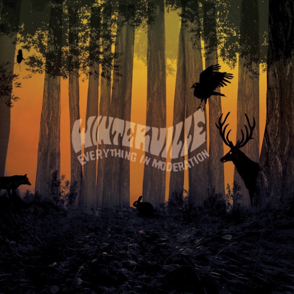 Everything In Moderation by Winterville album cover