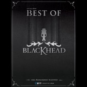 Best of Blackhead artwork