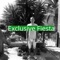 Exclusive Fiesta - Night Style Exotic lyrics