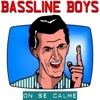 On se calme ! (Maxi) [Scandale Mix] cover art