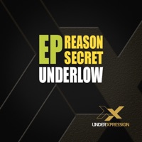 Reason - Single - Underlow