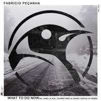 What to Do Now - Single - Fabricio Pecanha
