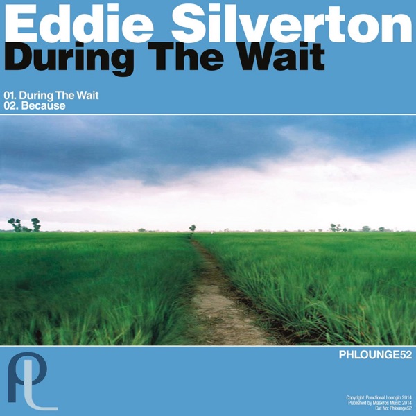 During the Wait - Single