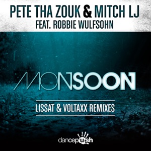 Monsoon (feat. Robbie Wulfsohn) [Lissat & Voltaxx Remix]