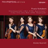String Quartet No. 13 in A Minor, Op. 29, D. 804 "Rosamunde": III. Menuetto. Allegretto - Trio artwork