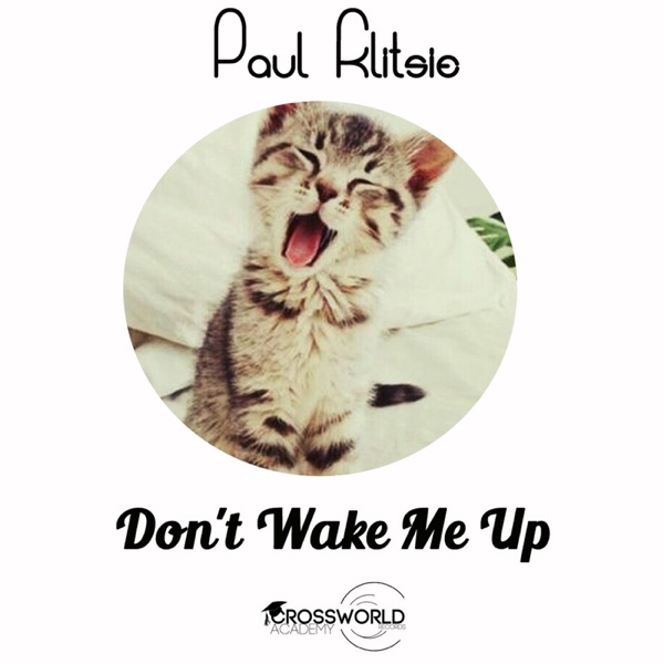 Don't Wake Me Up - Single